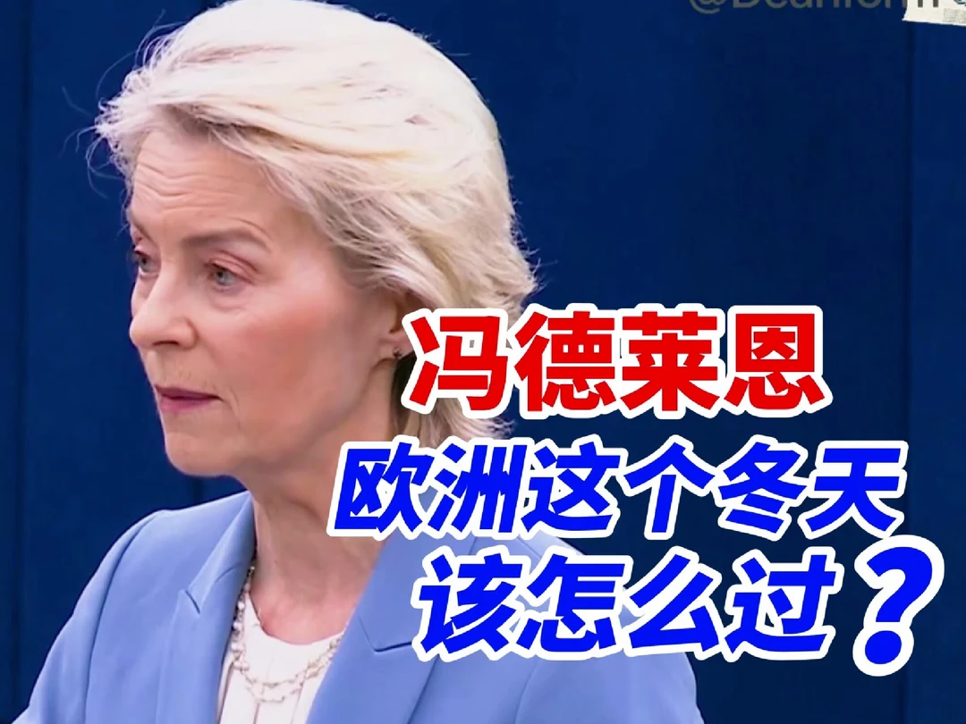 冯德莱恩又在议会画能源大饼！嘴上畅想欧洲能源新篇章，现实难题一堆看得人哭笑不得#油管精选 #欧洲能源
