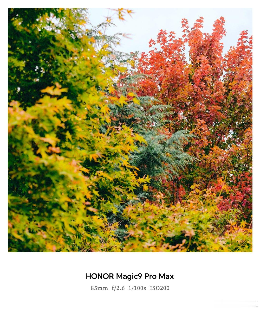 早ﾉ☀

感谢来自 分享的 #西安# 秋景～

#荣耀[超话]##每天早起打卡##荣耀Magic9##荣耀手机影像计划#  ​