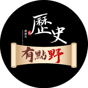 历史哟有点野