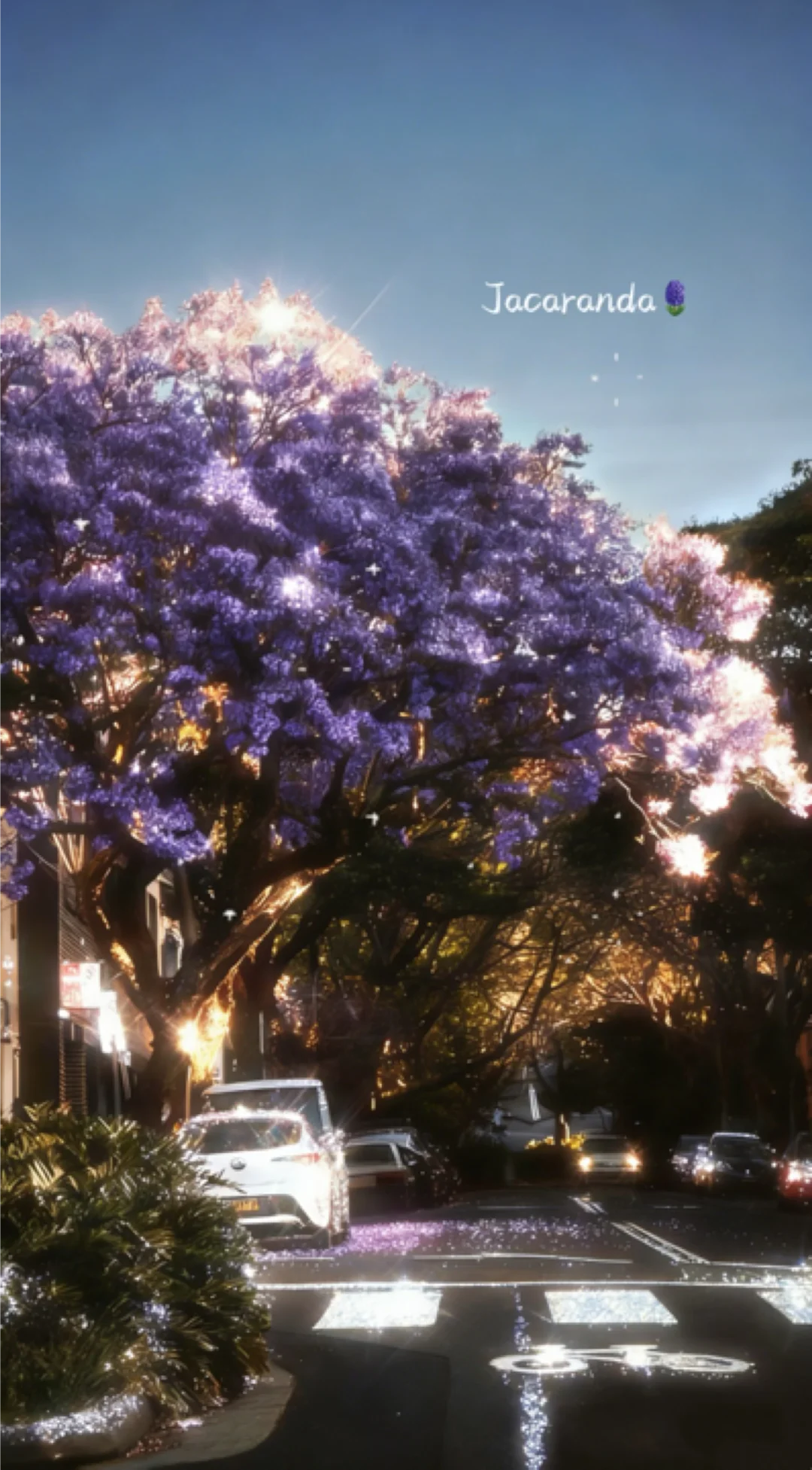 春日爆闪滤镜get🍃万物都能blingbling✨