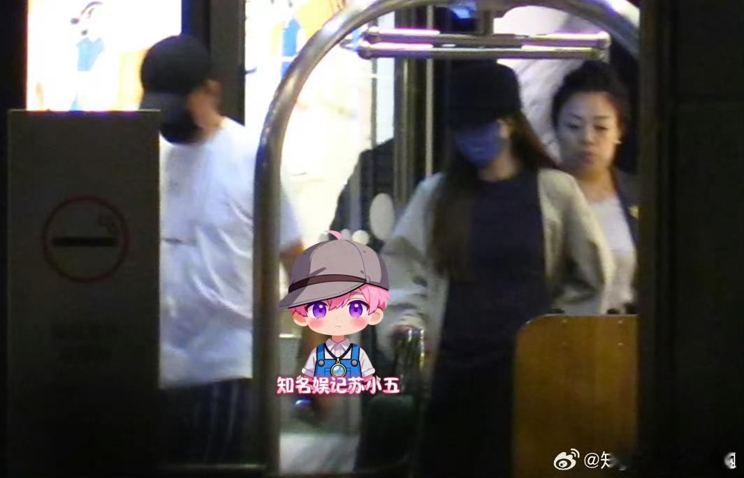 娱记苏小五拍到文章与陌生女子约会吃饭，相伴回住处后，第二天女方动身前往...