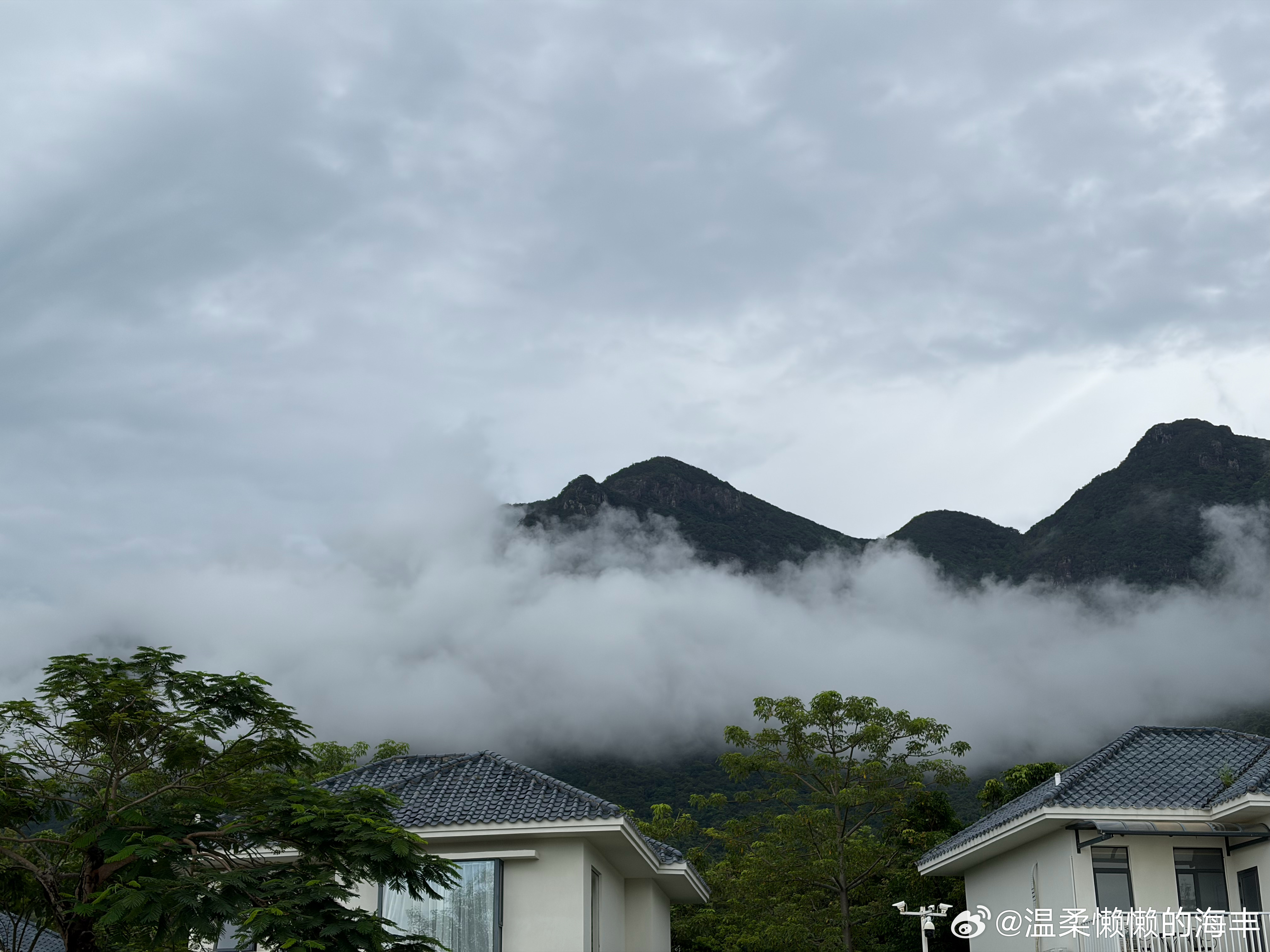 大鹏半岛之旅Day2
逛博物馆
看海🌊
泡汤[卡皮巴拉] ​