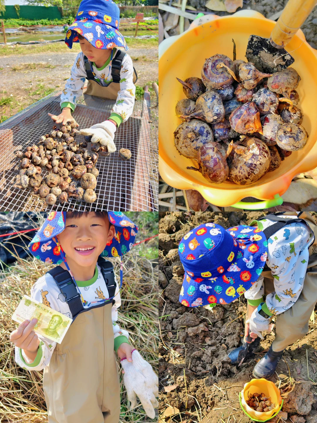 广州户外遛娃｜小泥人挖马蹄，怒赚1块🤣