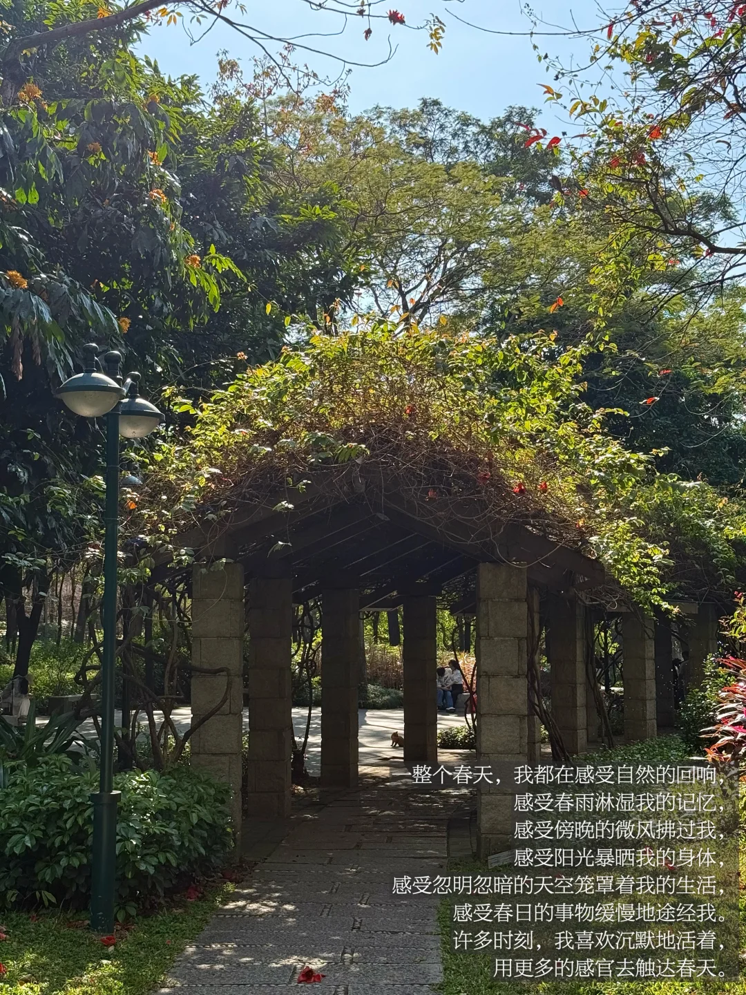 感受富有生命力的事物 不要失去发芽的心情