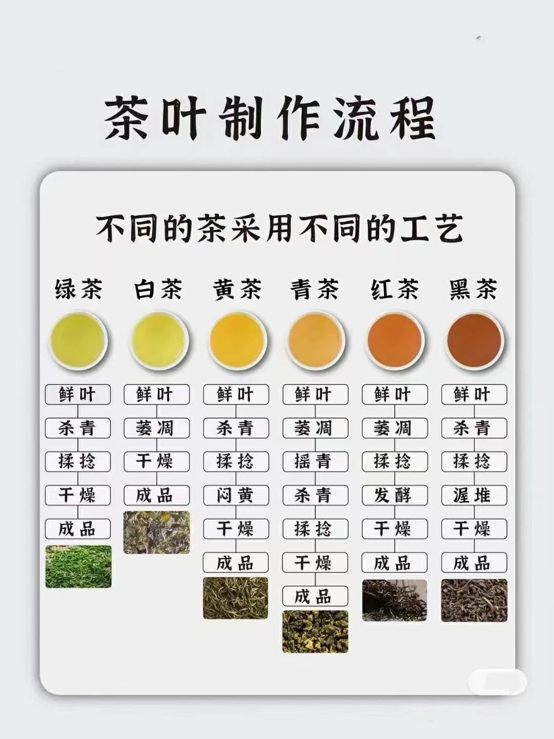 茶知识‖ 不同种类茶的制作流程