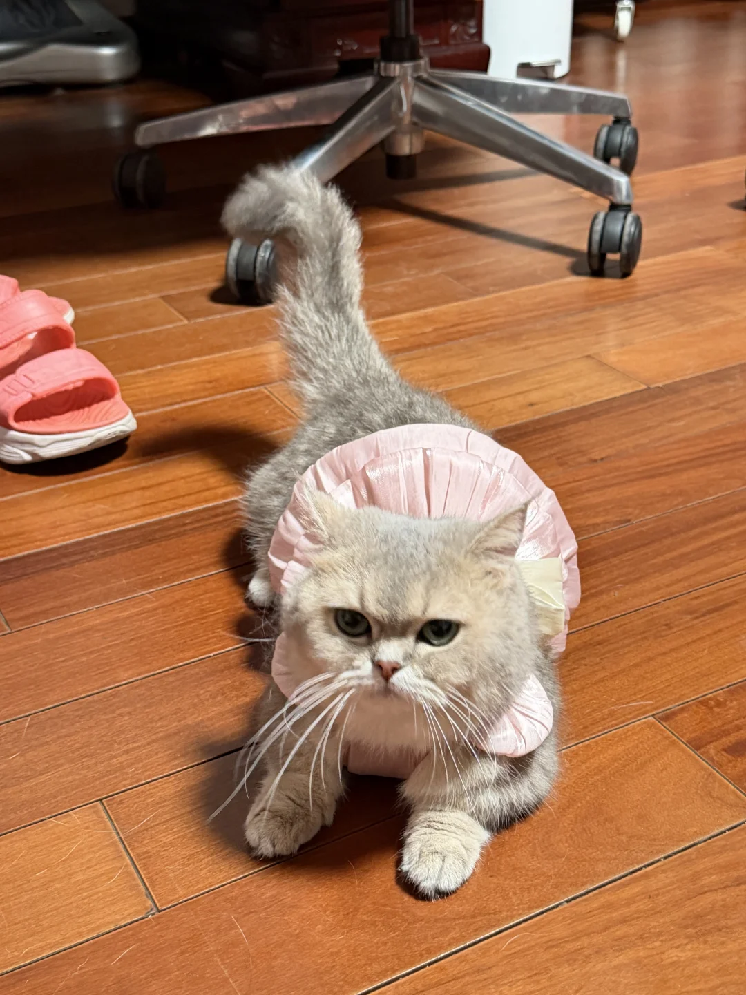 第一次穿裙子 好美妙