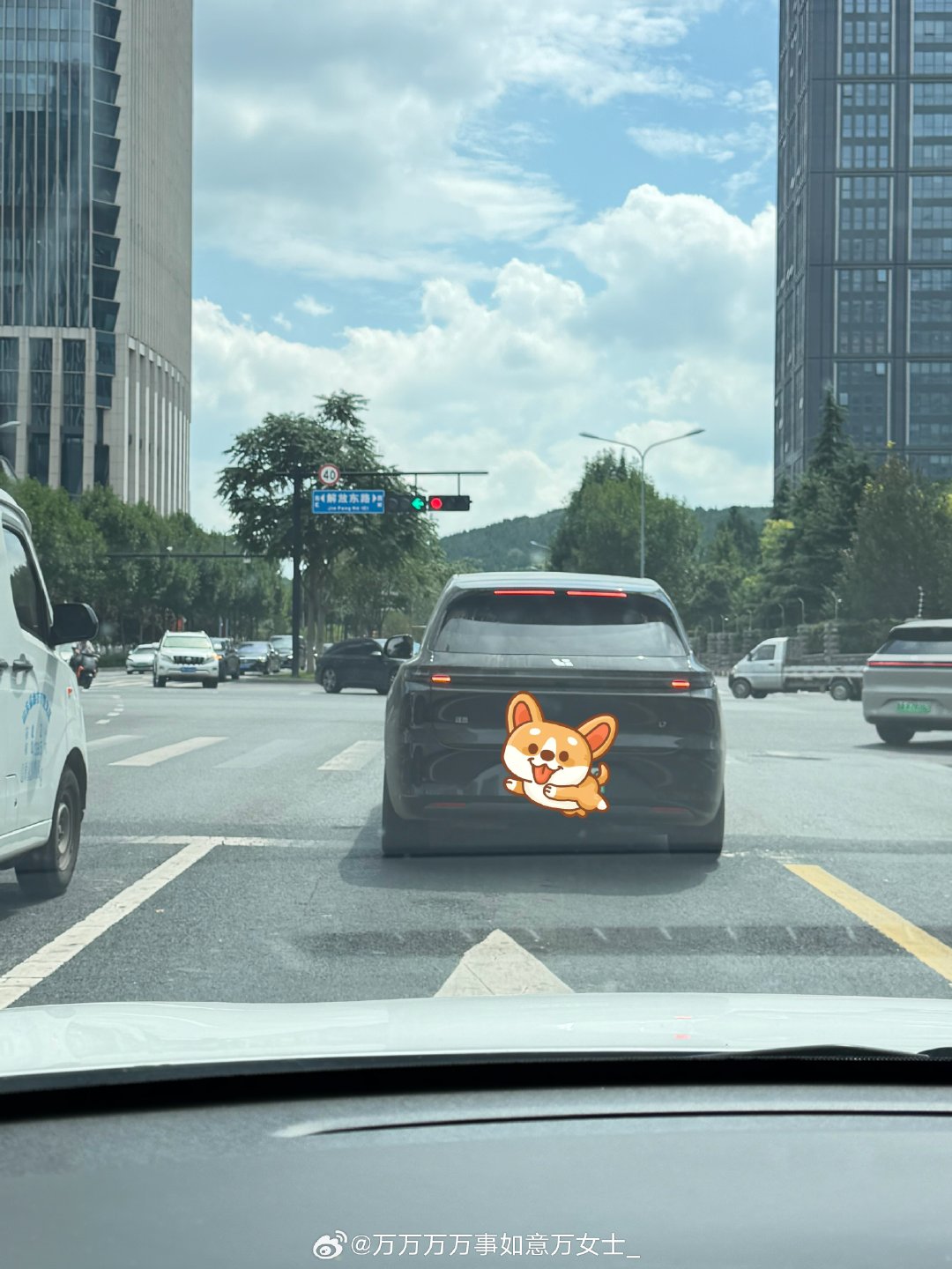 理想果然名不虚传。 ​