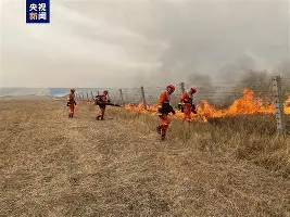 一把大火烧到中蒙边境，逼得中国紧急出动三千四百人浴血扑救！肇事的日籍高管如今被免职，对蒙古赔礼道歉并赔偿了事，不是还应当向中国道歉与赔偿损失吗？

（信源：央广网《蒙古国草原火未越过边境线 火情堵截整体可控》）
 
在2024年的春夏之交，在广袤而寂静的中蒙边境线上，一场突如其来的滔天烈焰曾经让无数
