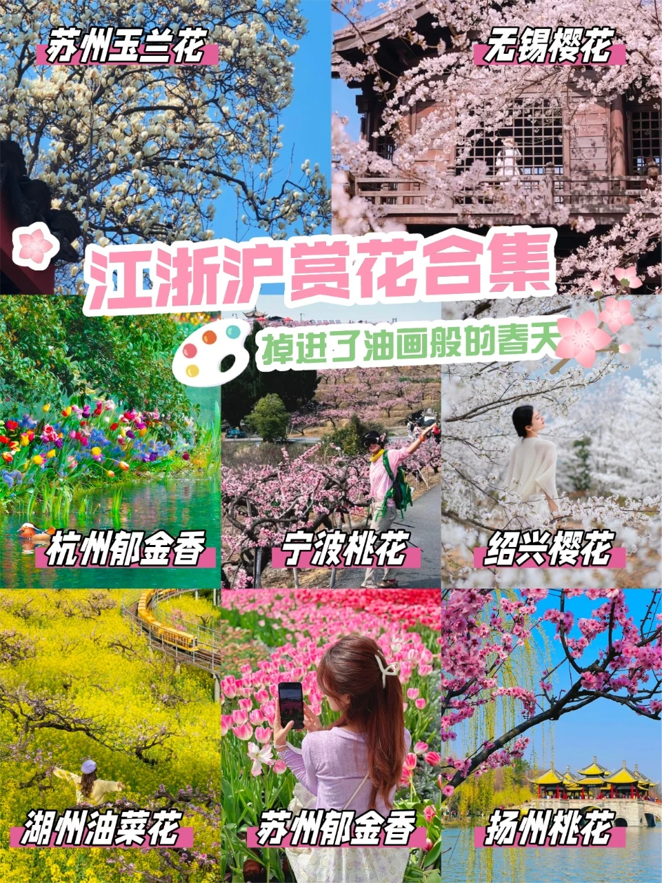 江浙沪赏花好去处🌸8个私藏地美哭！