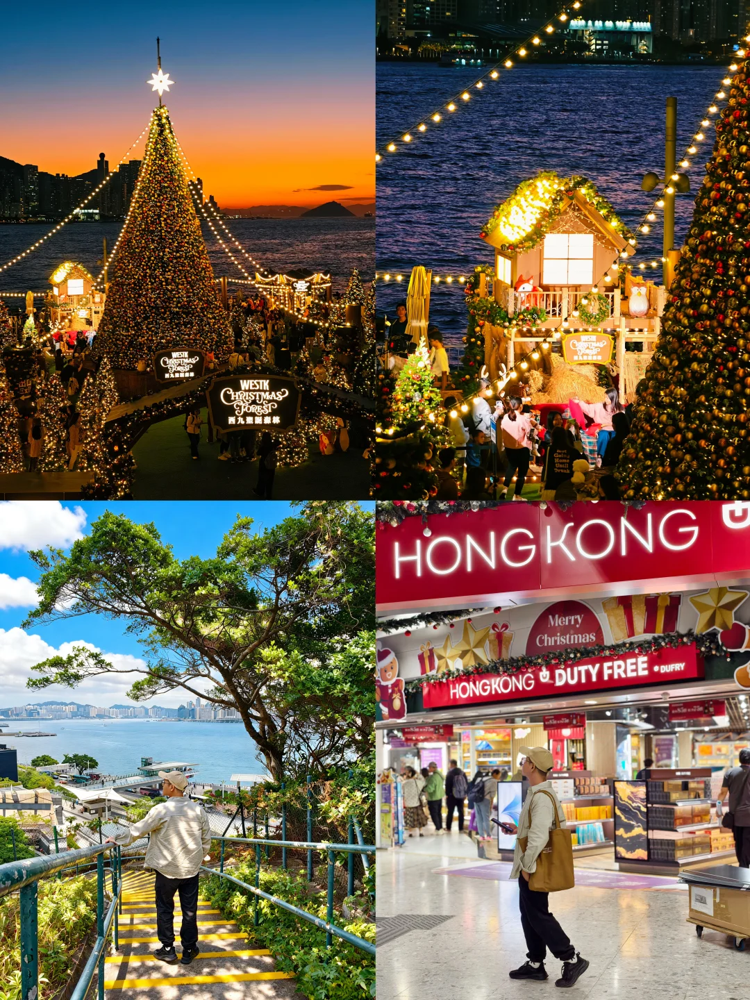 为了西九龙的海边圣诞树🎄专门来了躺香港