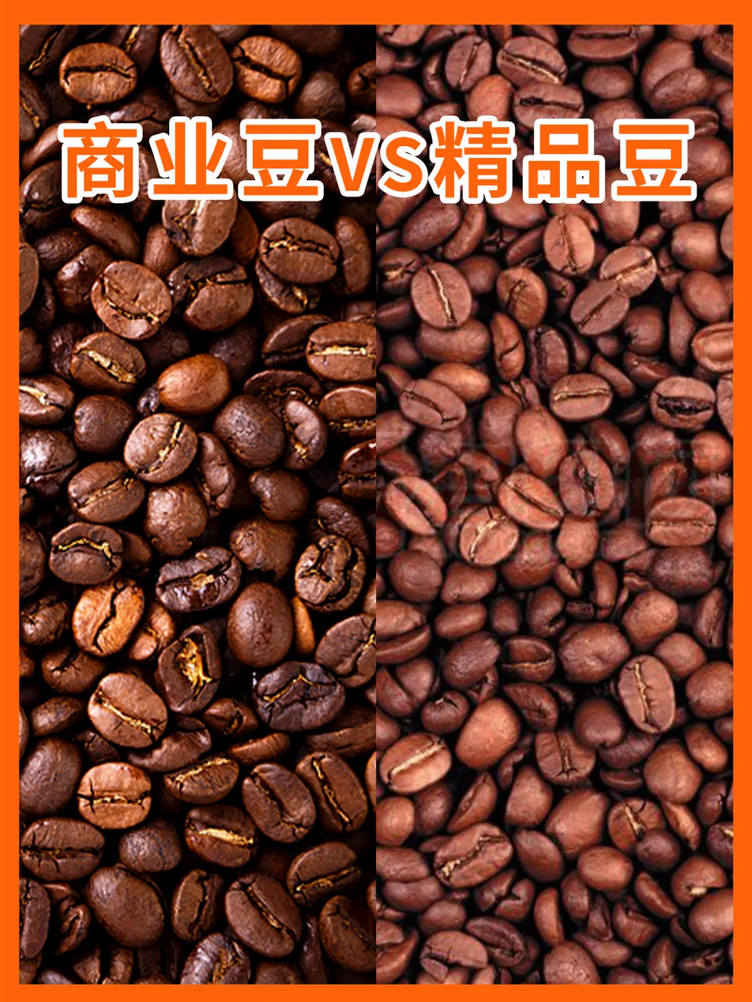 精品和商业咖啡豆是什么？二者有什么区别？