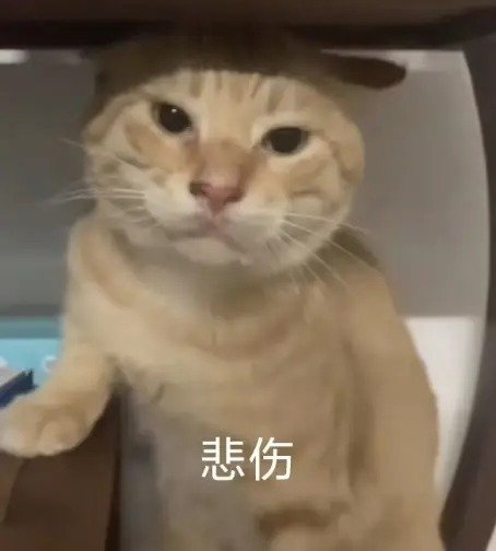 请这个世界对我好一点 ​