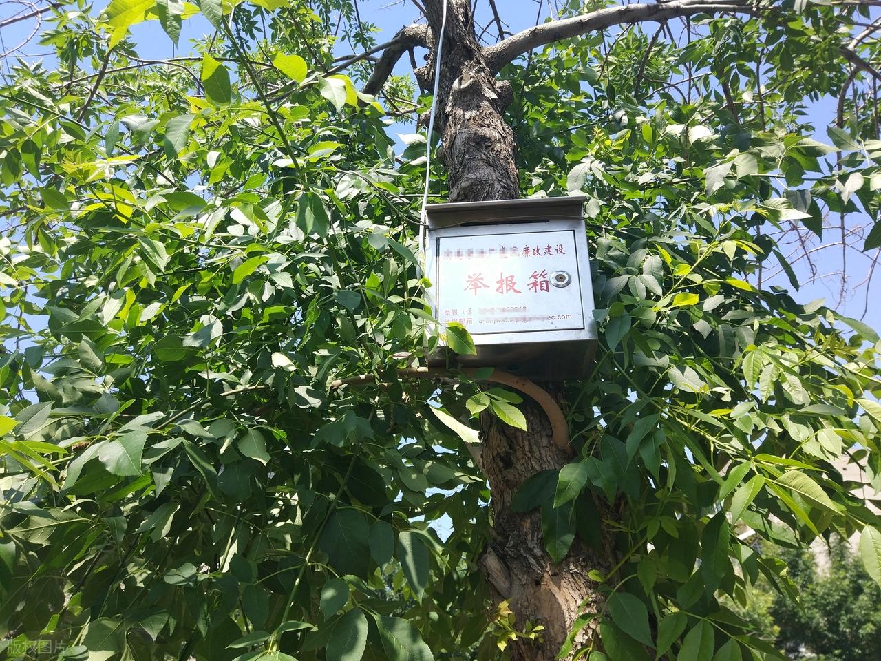 惊！“丁义珍窗口”竟再现河南杞县人民医院