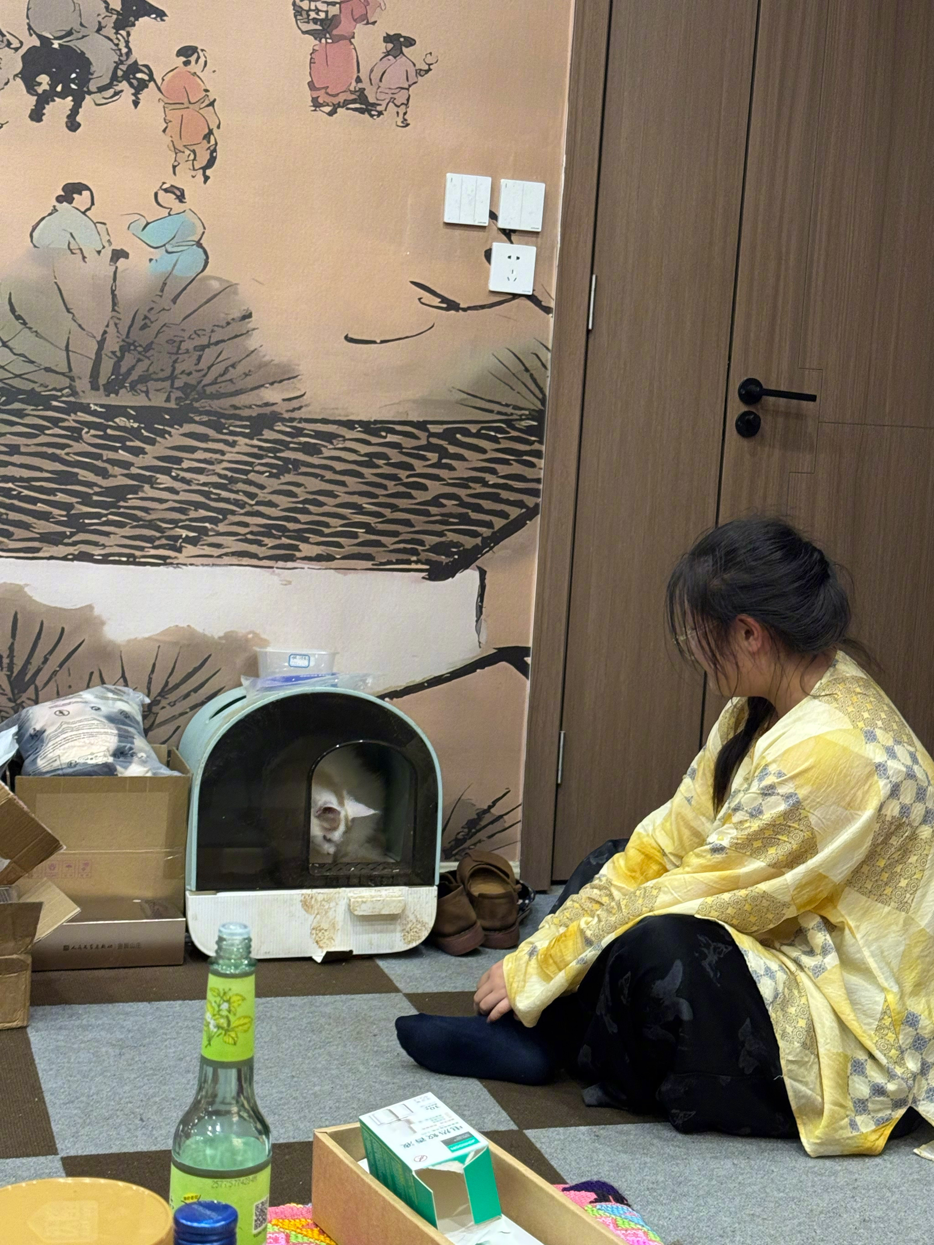 这只猫很漂亮。珞妮把它抱到三楼，说是以后它会作为猫粮短视频主角。我问它...