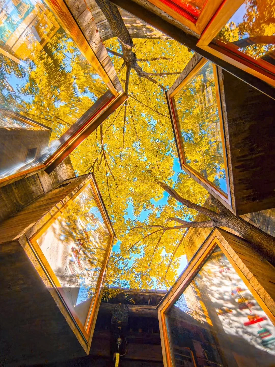 开始狠狠期待北京的秋天了……🍂