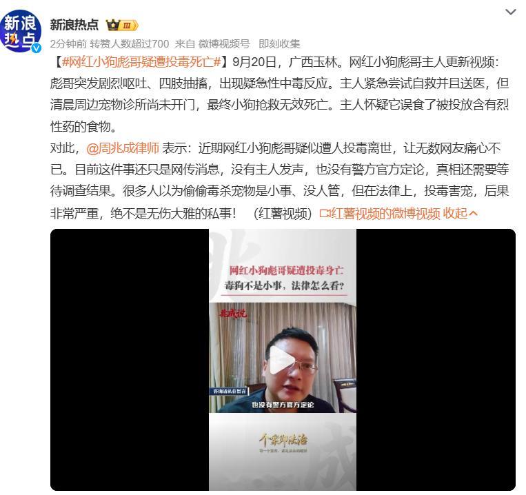 #网红小狗彪哥疑遭投毒死亡#主人怀疑狗狗吃到别人投放的有毒食物，已经报警，警方已经介入，但是目前还没有官方定论，一切等待警方通报。法律科普：不要觉得毒狗只是赔点钱。公共区域投放有毒饵料，一旦危及路人尤其是孩子，会涉嫌投放危险物质罪；蓄意毒杀他人宠物，也可能构成故意毁坏财物罪，是要承 ​
