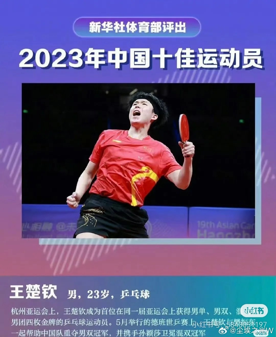 #亚运会# 亚运会王楚钦四冠王，被抹去的成绩我们记得#王楚钦##体育##HOHO##ALH# ​