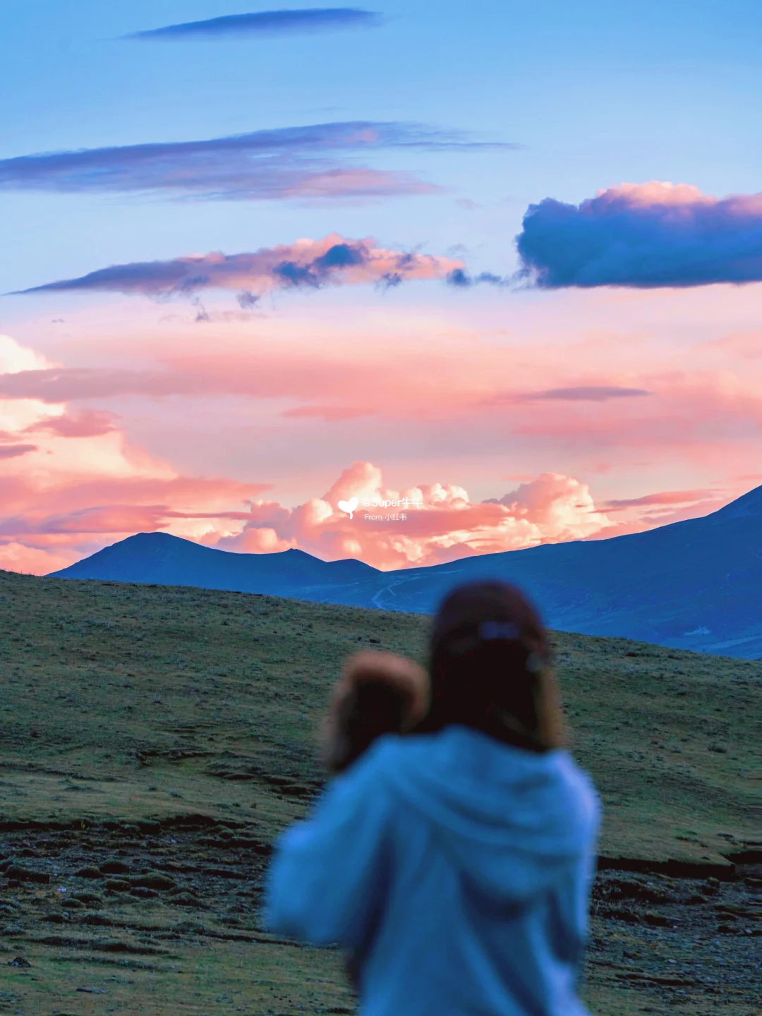 川西理塘🪐在天空之城遇见一朵粉色的云☁️