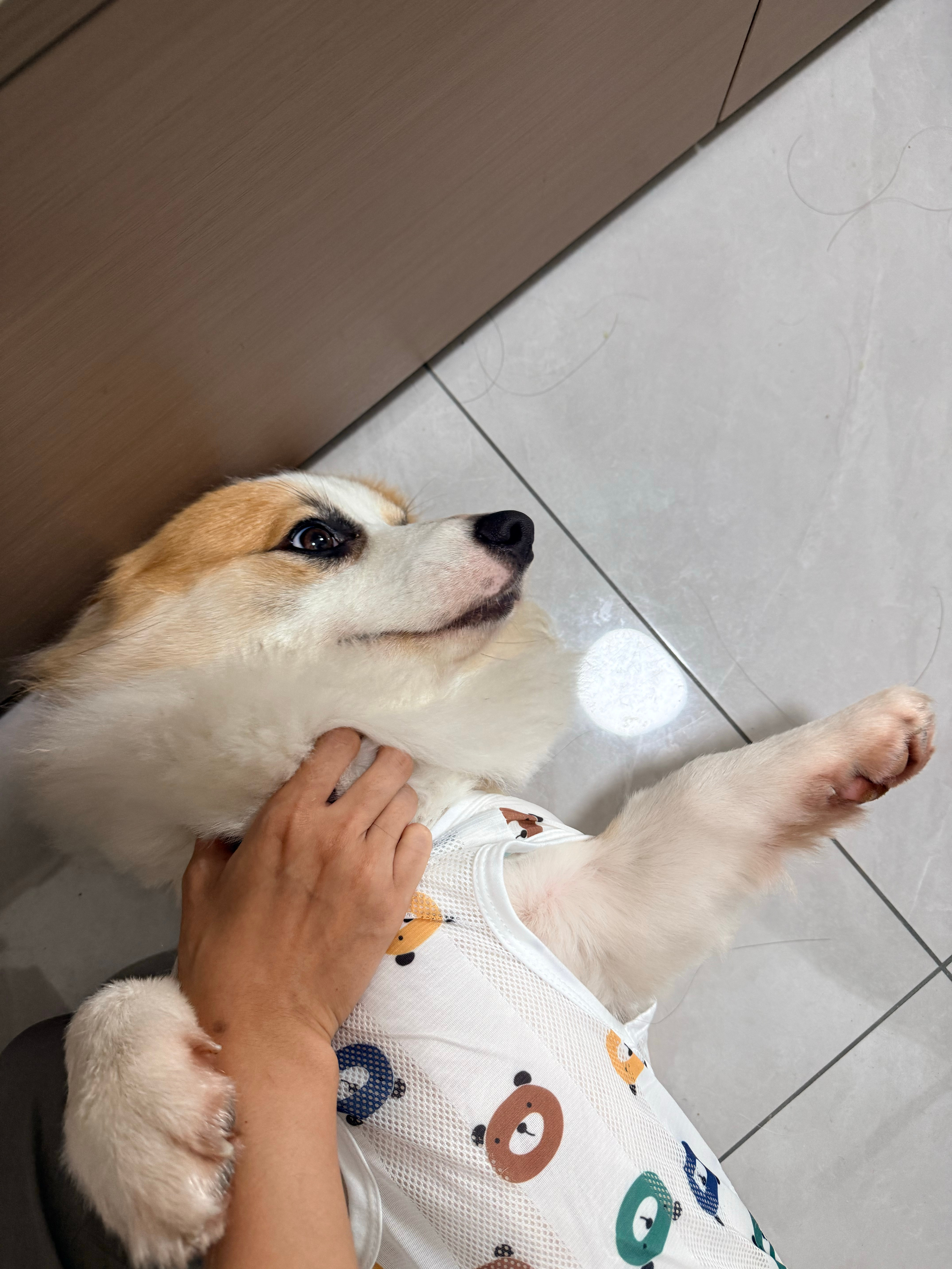 早上好～ ​​​