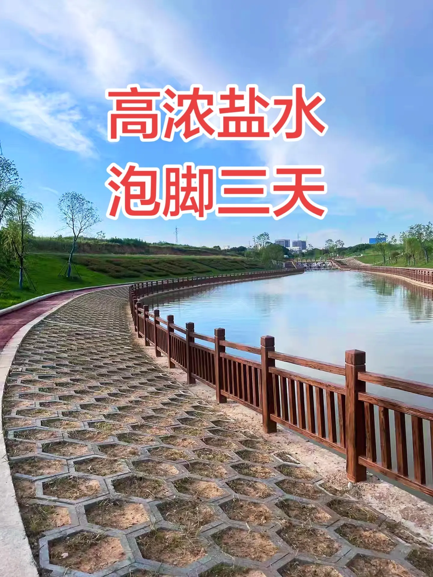 赵心童6-2战胜丁俊晖，晋级八强将战尼尔·罗伯逊，2026斯诺克上海大师赛台球 斯诺克 丁俊晖 赵心童