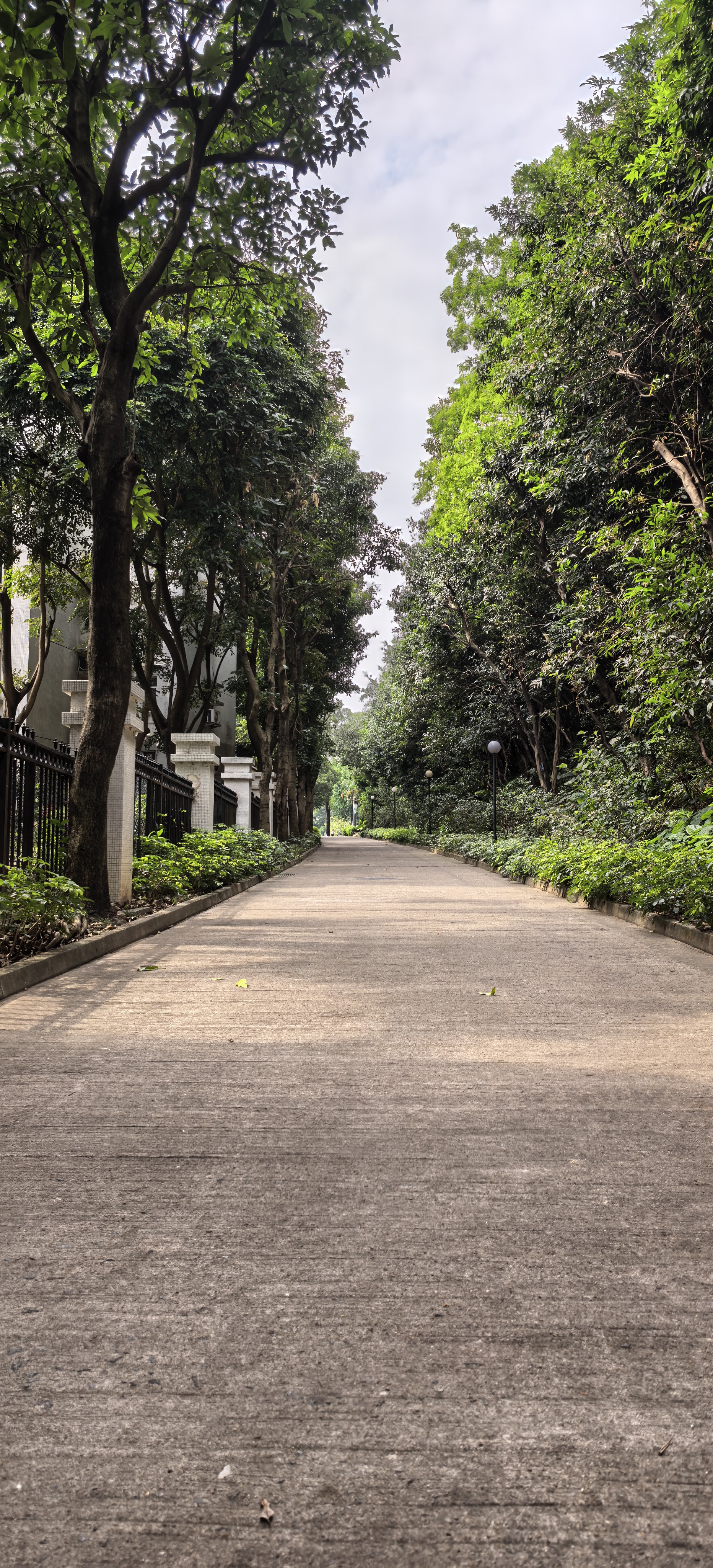 作为广漂一族，在番禺祈福新村住了15年，都说这里是亚洲第一社区，像一座...