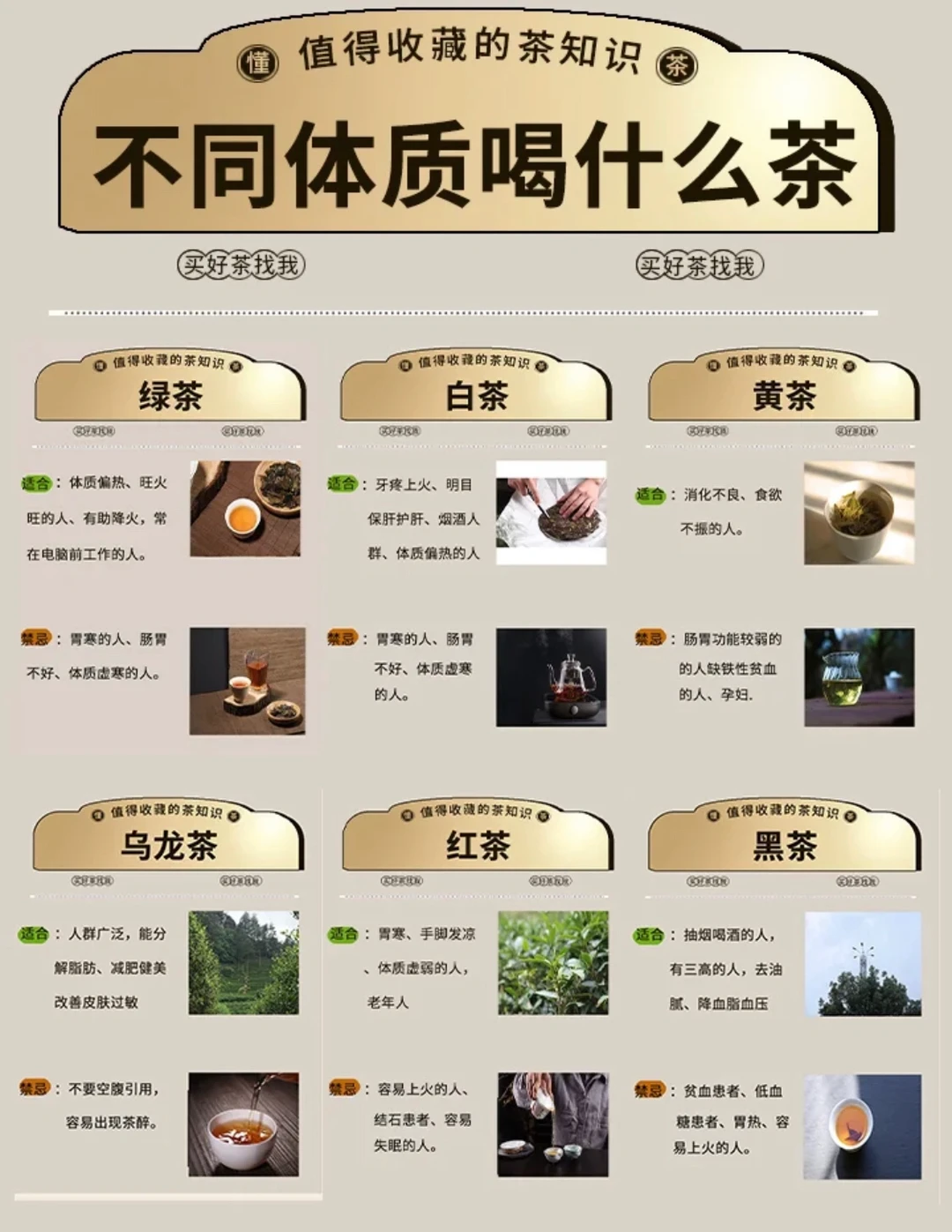 不同体质喝不同茶，不要搞错了，记得收藏！