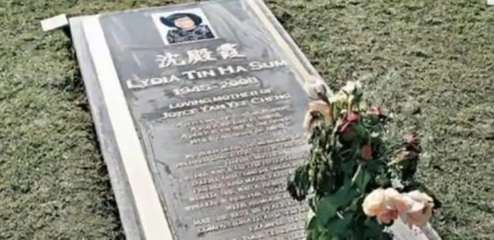 郑欣宜跑去加拿大墓地跪着抽泣，旁人看着都揪心。她妈走之前把六千万港币放信托，死活不让她三十五岁前碰到底钱，每月只给两万生活费，还找了前夫跟闺蜜盯着账目。说白了就是怕女儿摊上花心人被骗。陈淑芬亲自出来辟谣，说郑欣宜根本没继承几千万，结果反倒让人心疼她十年走过的那些跌跌撞撞。感情受伤消沉又复苏，用自己的
