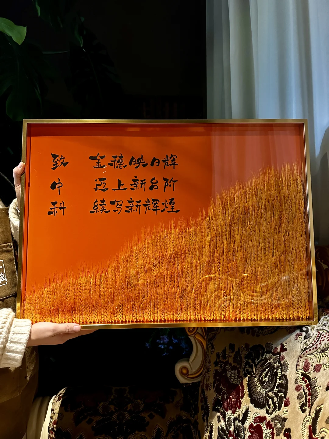 真麦穗入画｜㊗️ 贺 ✨踏浪前行 节节高升