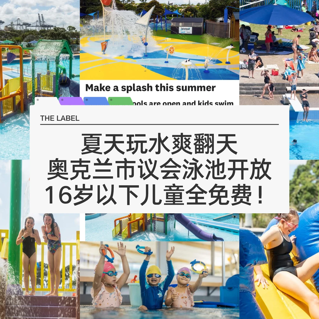 🇳🇿 这个夏天，奥克兰官方请你娃免费游泳