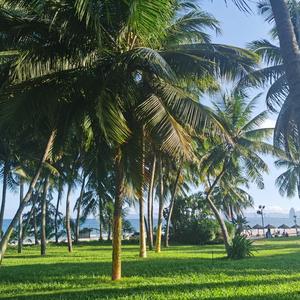 说悠闲岁月的史诗故事