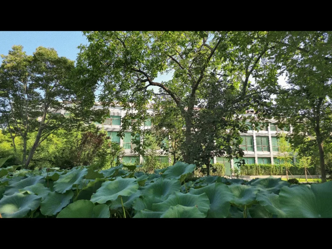 体制内：隐患排查工作措施