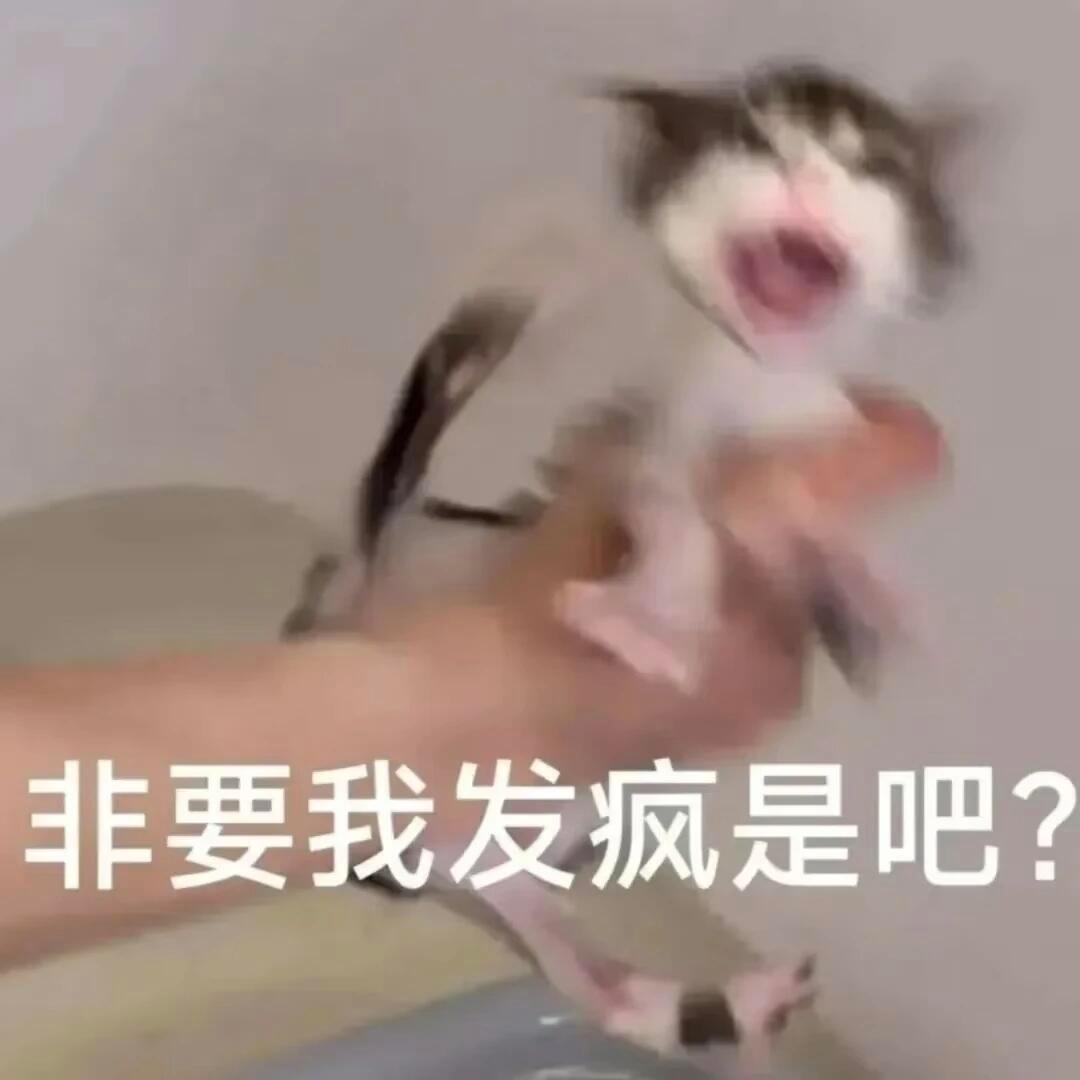饼哥说我俩是天选打工人  每次感冒生病都能赶上周末或者小长假 等假期过...