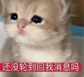 最近爱用的萌萌表情包金秋壁纸大放送 ​​​