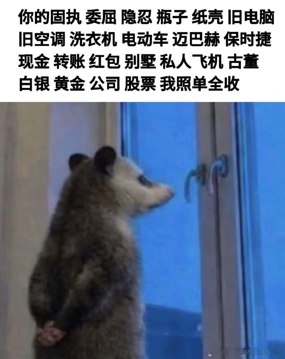 是我的错 ​