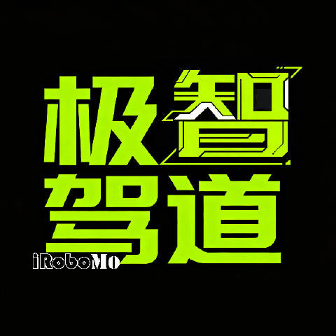 极智驾道