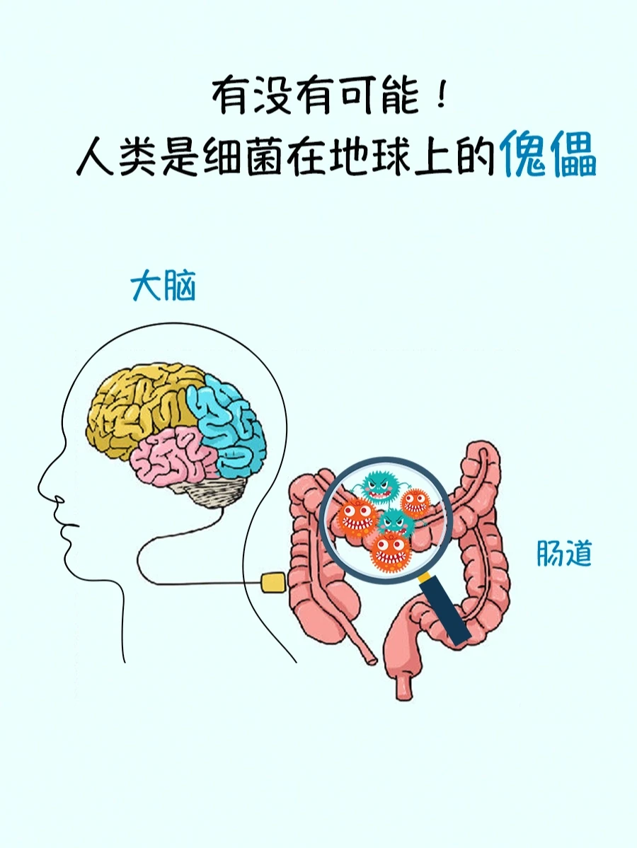 ❗️有没有可能，人类是细菌在地球上的傀儡