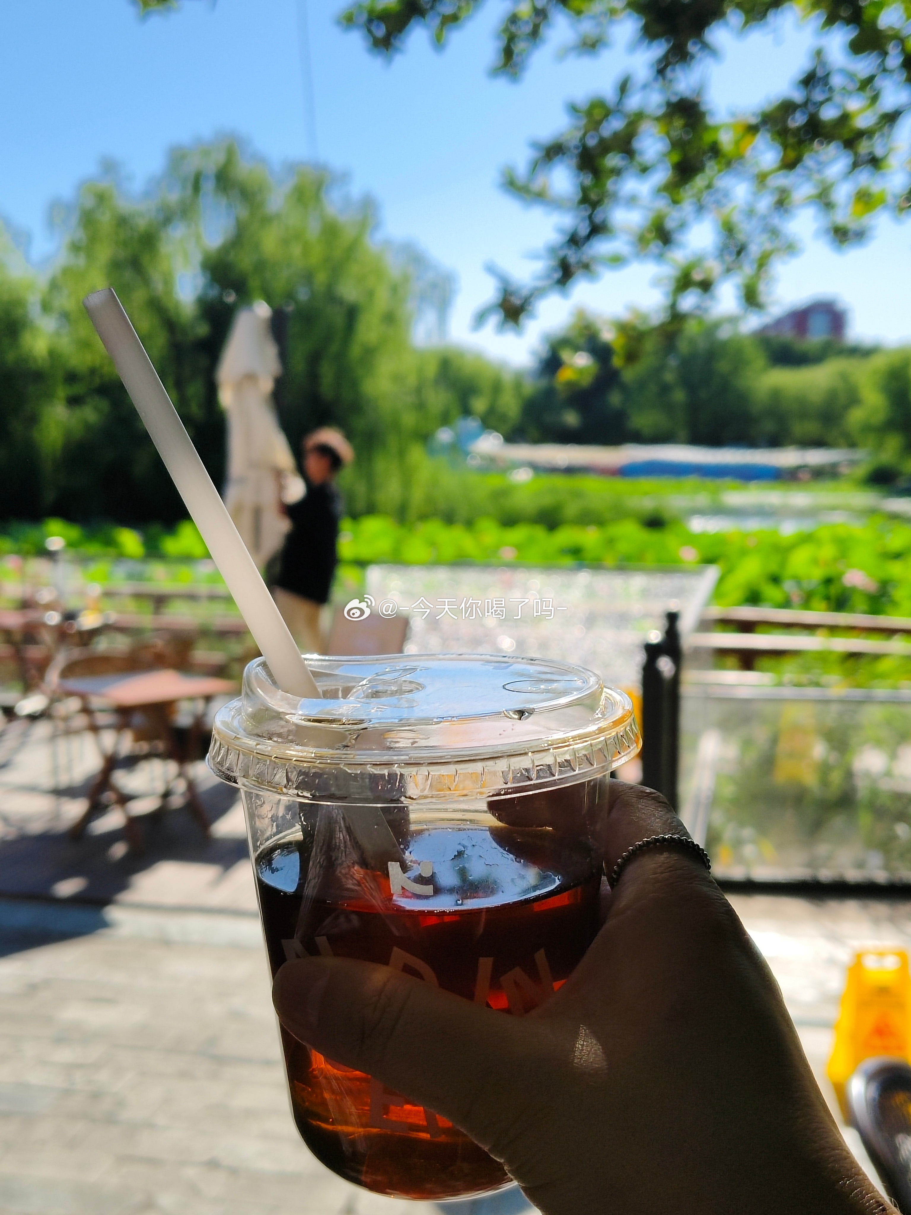 原来我上班需要的是这种药上班的苦需要下班的咖啡来治愈树荫斑驳荷花盛开这样的美景咖啡怎么会不好喝呢咖啡[超话]生活手记  ​​​