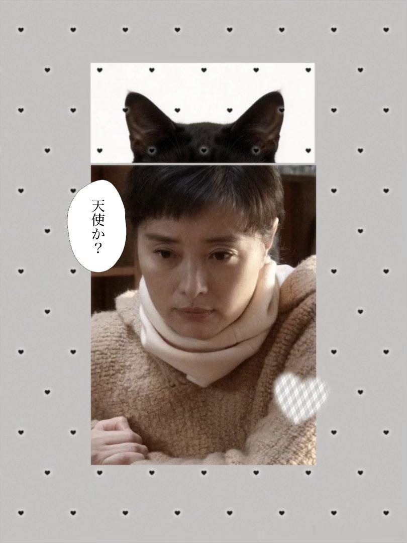 #吴越[超话]#  小猫转世！
萌物中的萌物 萌物中的统治者 萌物之主 萌物的终结者 萌王 萌师 萌神 压倒性萌物 萌物史上永垂不朽的巅峰 ​