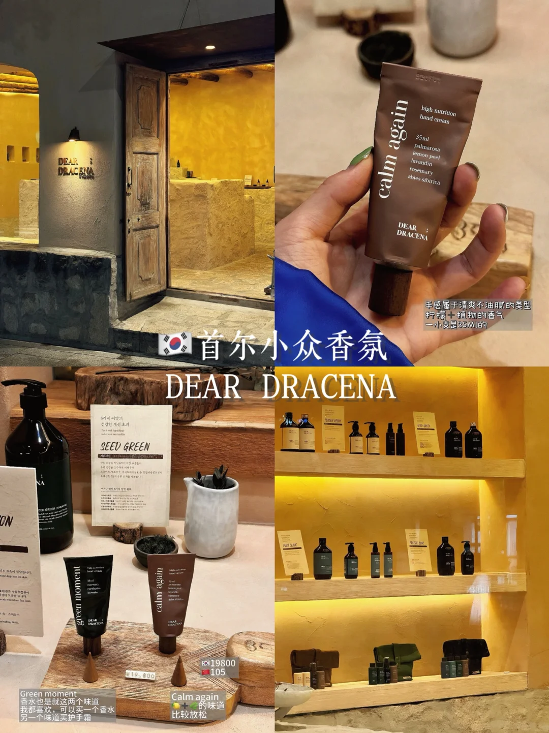 《关于我遗失在首尔的人生香》‼️小韩战绩🛒