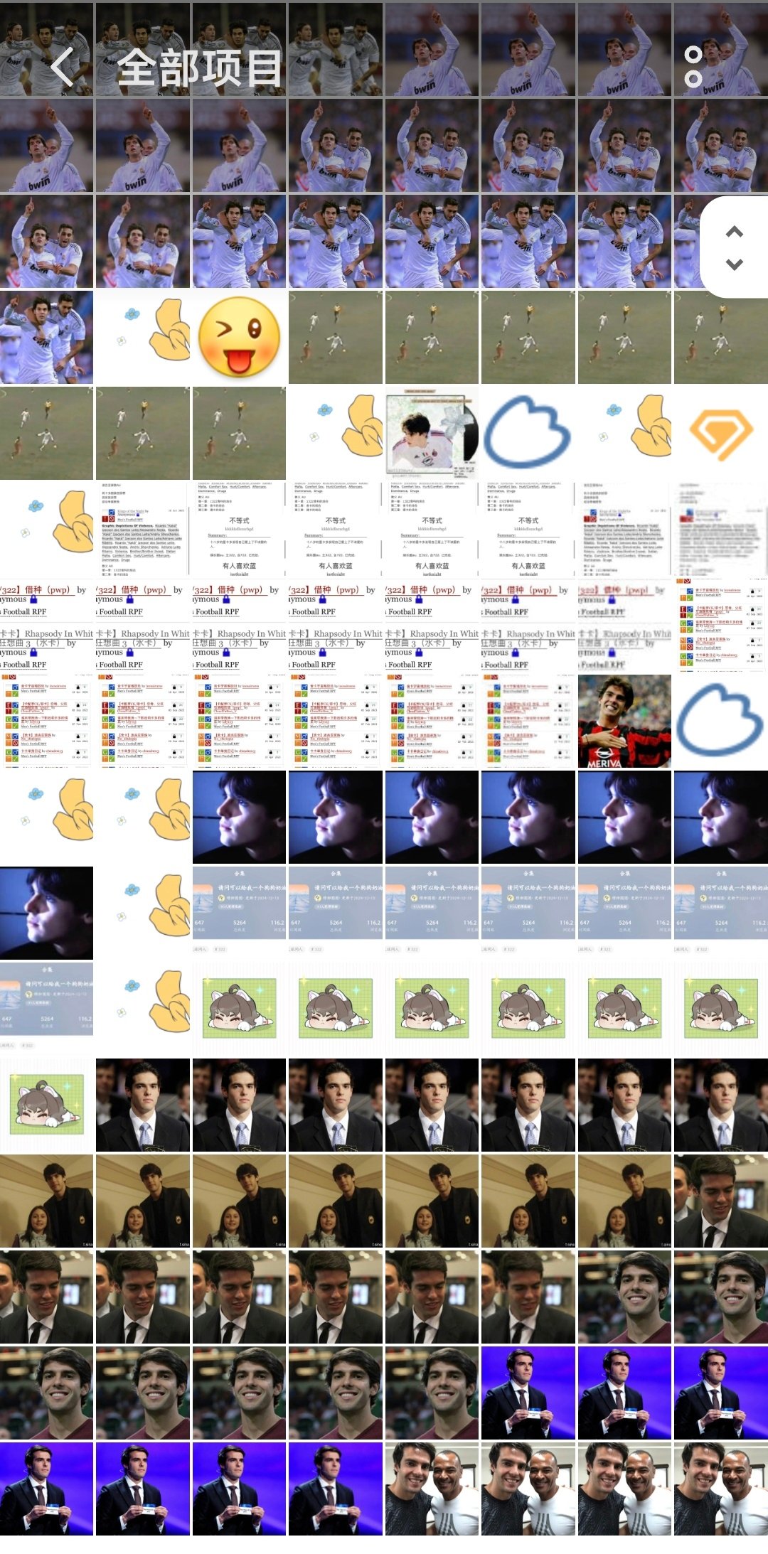想用chatgpt vibe coding一个搬运的程序
现在下了69来条手机就爆满了[捂嘴哭]
有啥简洁高效的储存工具吗大家 ​