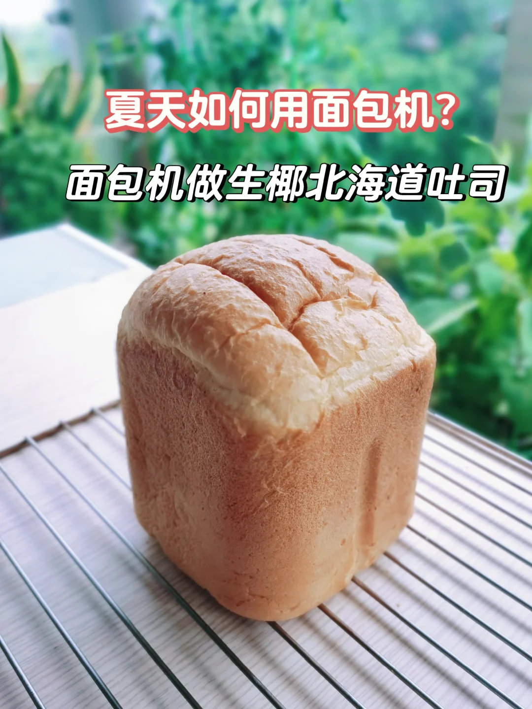 夏天如何用面包机？生椰北海道吐司，一键式