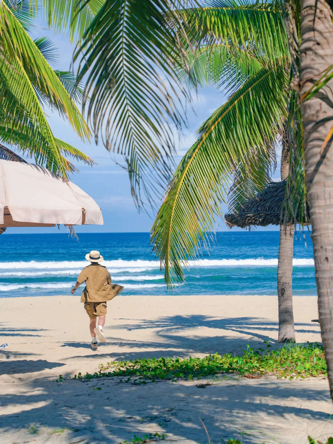 忍不住了！！我要向所有人安利越南的海