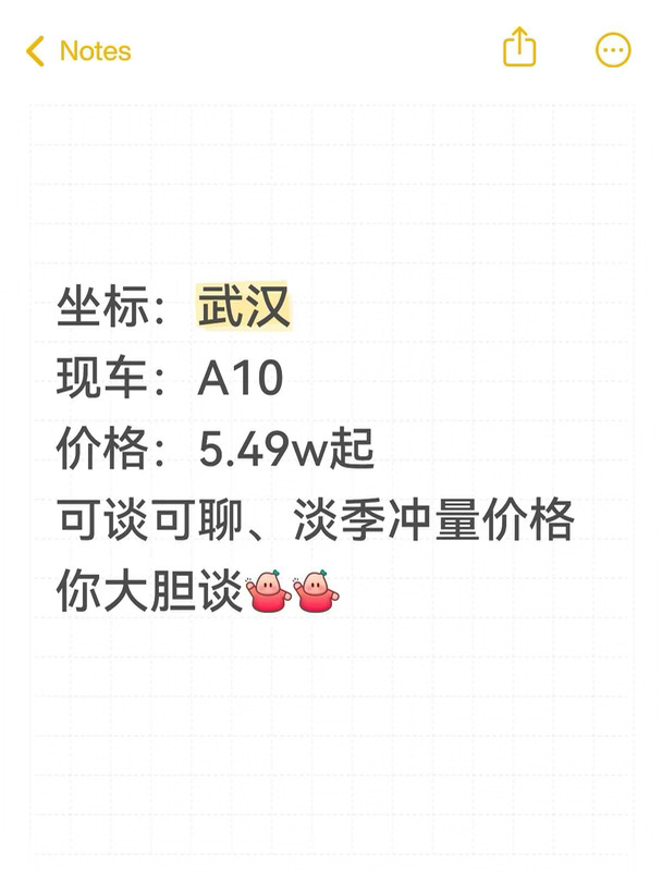 武汉、零跑A10、少量现车 价格你大胆谈