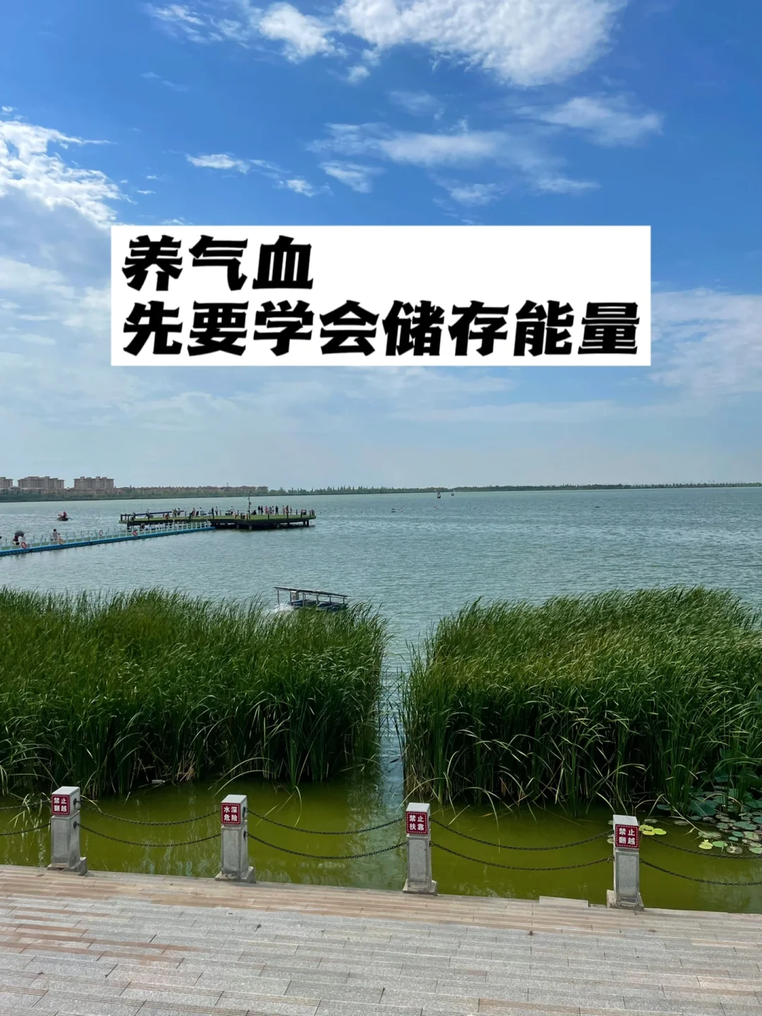 养气血，先要学会储存能量.