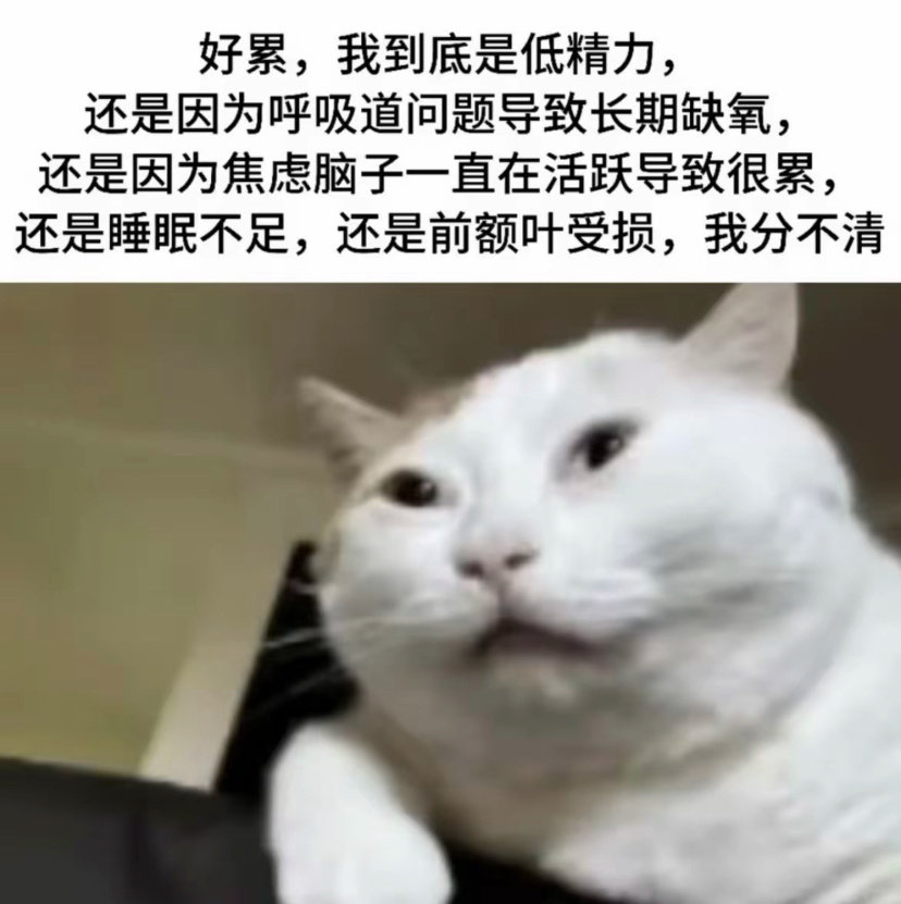 给学生做心理咨询做了一小时二十分钟，我觉得应该给我点精神损失费。 ​