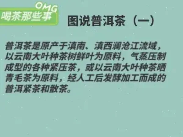 入门级！一图读懂普洱茶