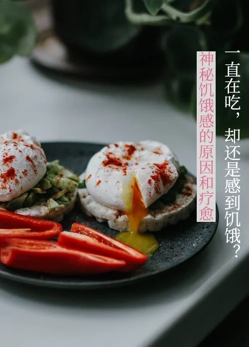 无法满足的饥饿感，原因在哪里？【四】