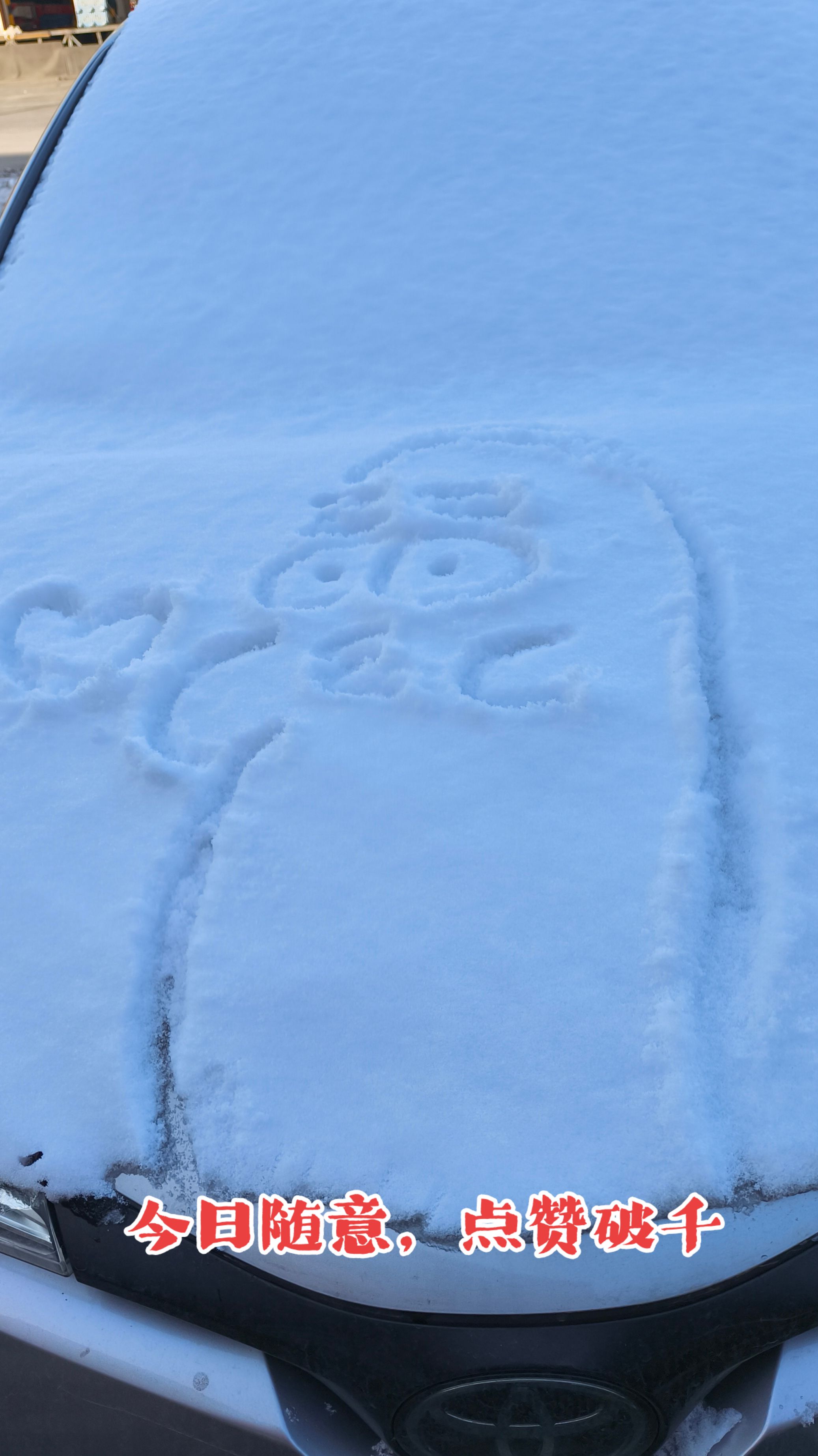 2025的第一场雪，沙雕行为快乐翻倍
