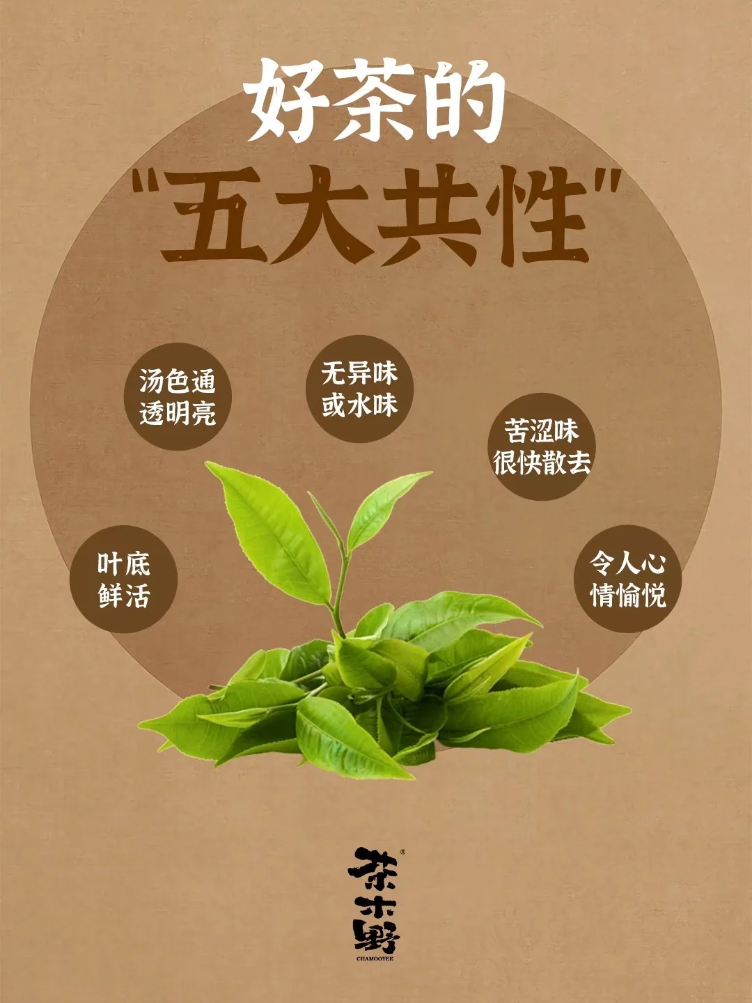 识别好茶，看好茶的5大共性