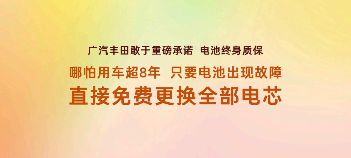 所有人，只要你买过新能源还是准备买新能源，大概率见到过电池宣传页上“质...